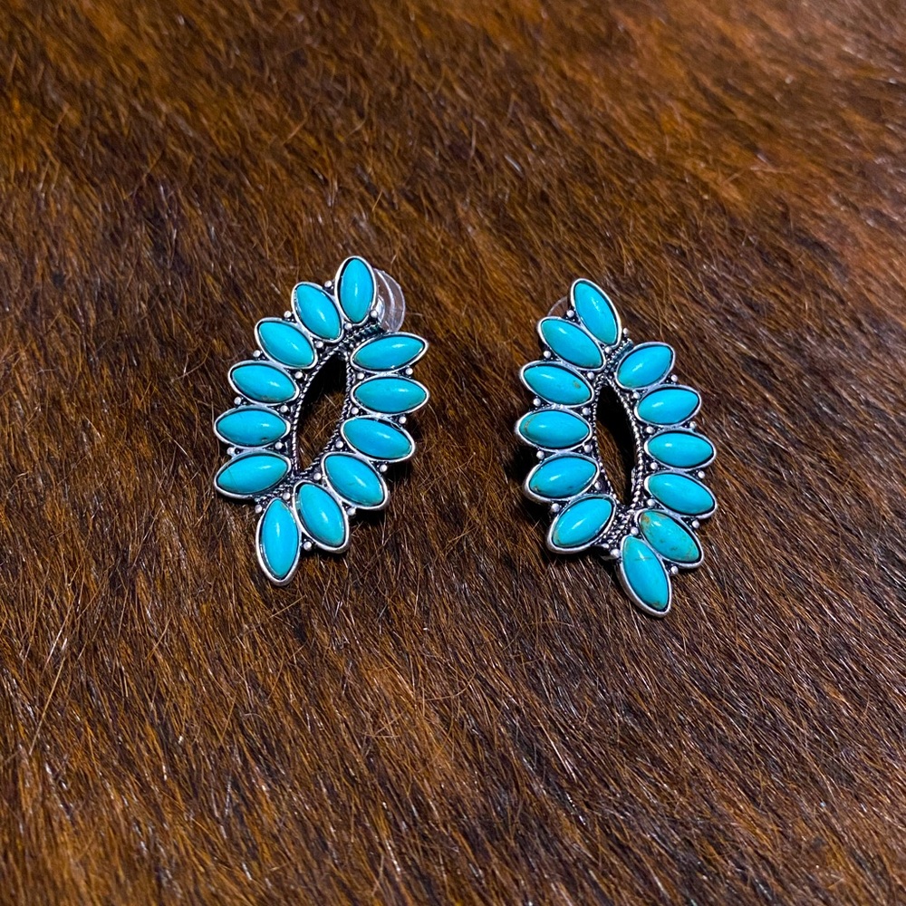 Faux Turquoise Earrings